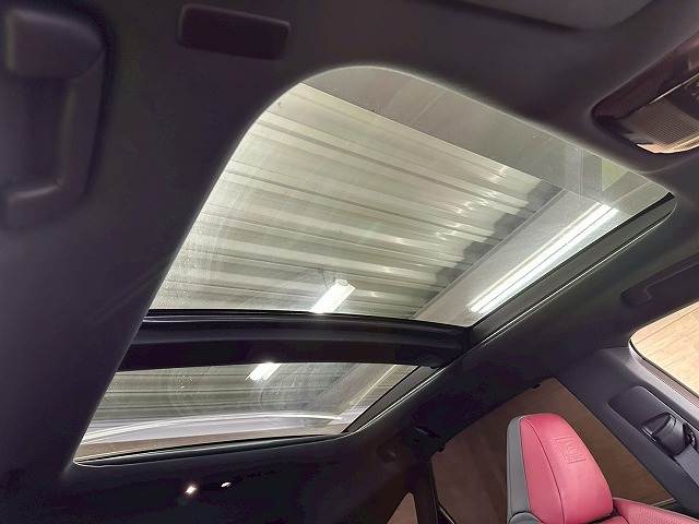 RX□RX500h “F SPORT Performance” 内装他