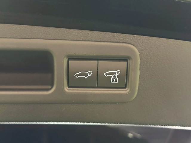 レクサス&nbsp;RXの画像15