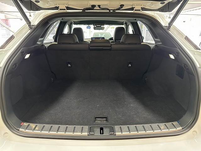 レクサス&nbsp;RXの画像20