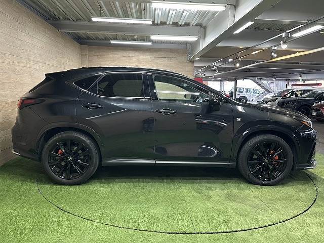 レクサス&nbsp;NXの画像18