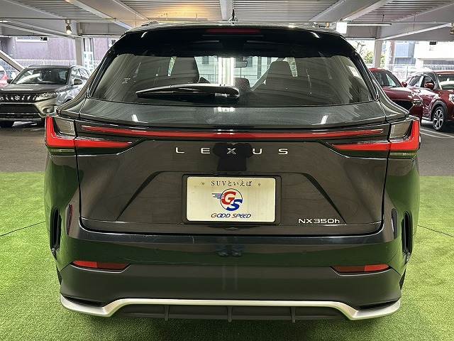 レクサス&nbsp;NXの画像19