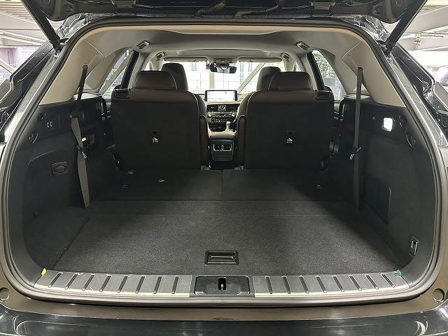 レクサス&nbsp;RXの画像20