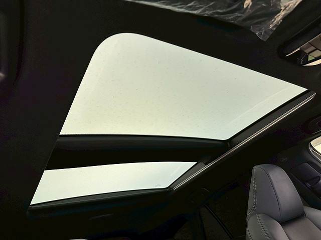 ハリアーZ 内装他