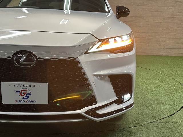 レクサス&nbsp;RXの画像11