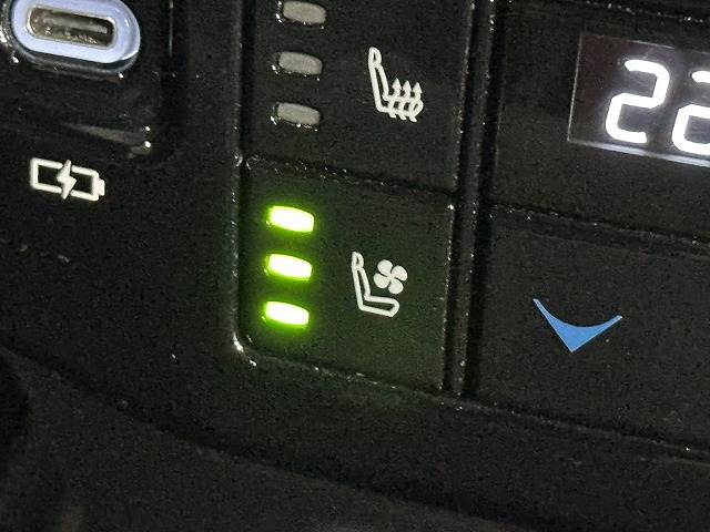 レクサス&nbsp;RXの画像16