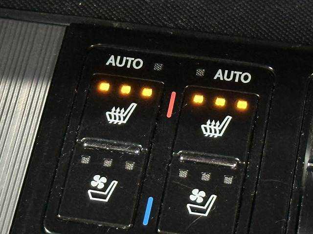 レクサス&nbsp;RXの画像14