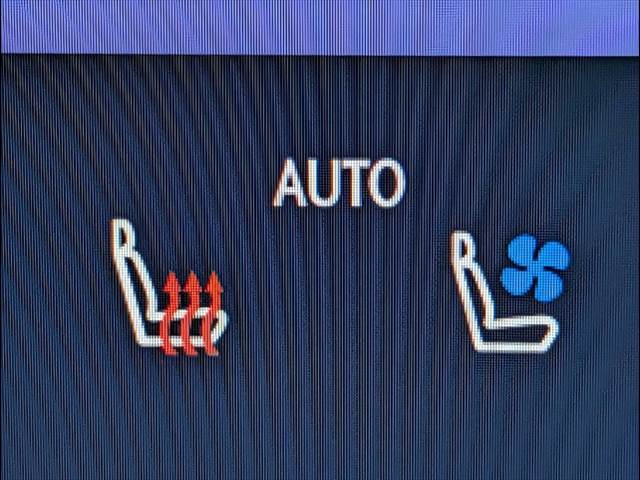 レクサス&nbsp;NXの画像15