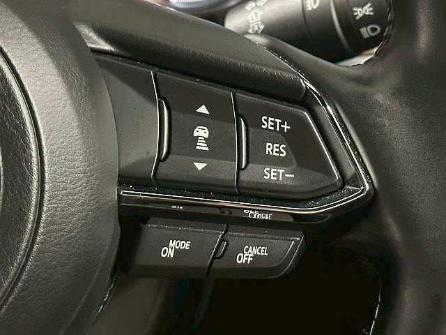 CX-8XD L Package 内装他