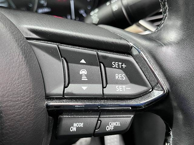 CX-8XD L Package 内装他