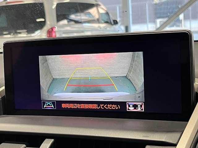 NXNX300 “F SPORT” 内装他