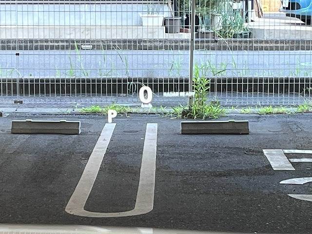 NXNX300 “F SPORT” 内装他