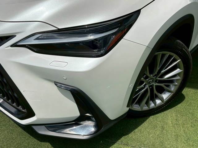 レクサス NXの画像19