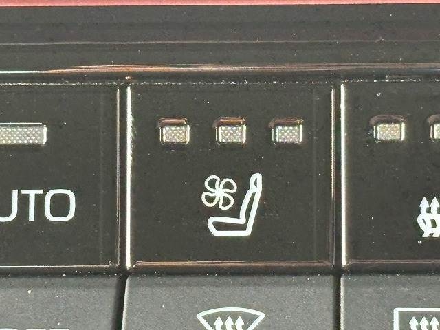 トヨタ プリウスの画像7