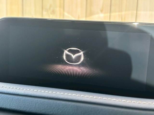 CX-3020S Proactive Touring Selection 内装他