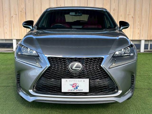 NXNX300h F SPORT 内装他