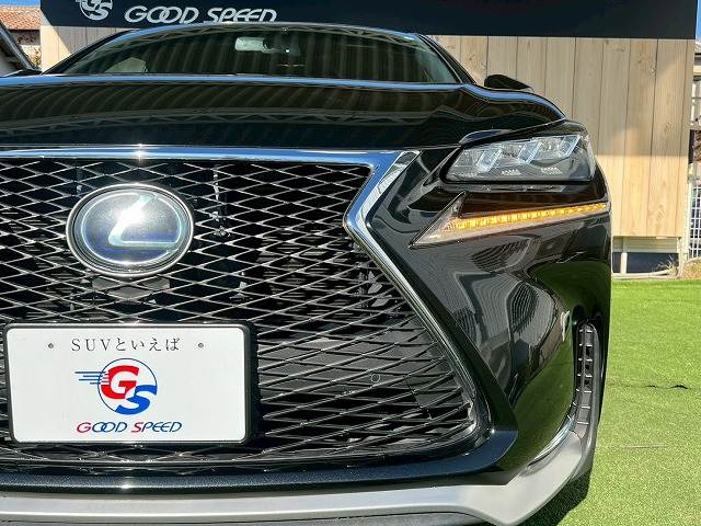 レクサス NXの画像20