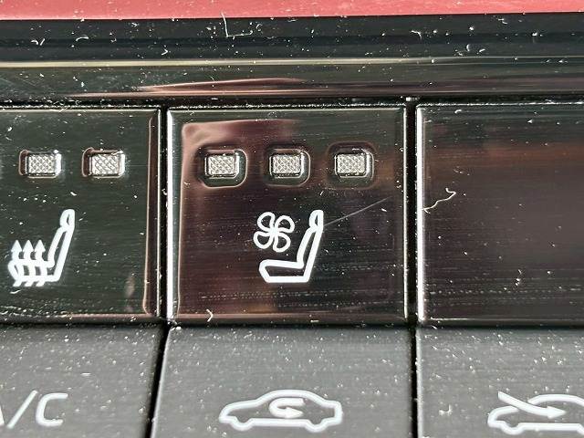 トヨタ プリウスの画像12