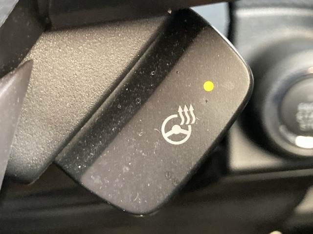 フォレスターAdvance 内装他