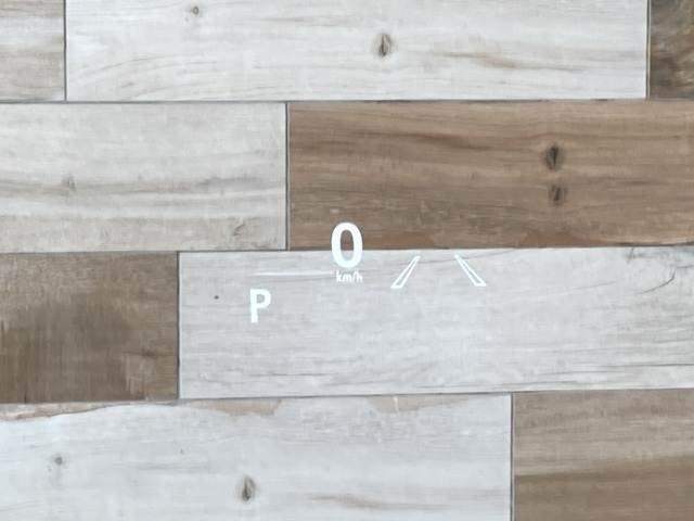 NXNX300h “F SPORT” 内装他