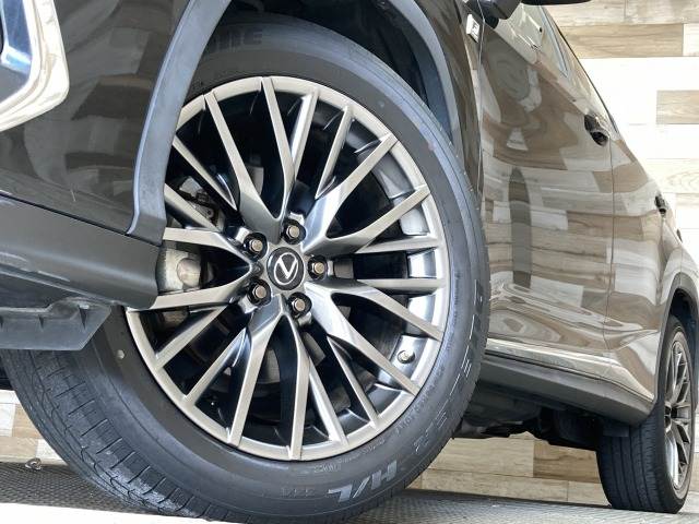 レクサス RXの画像19