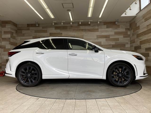 レクサス RXの画像14