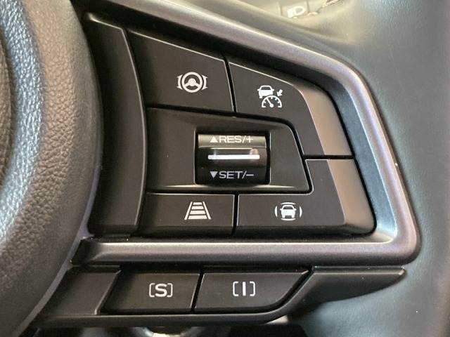 スバル レヴォーグ レイバックの画像10