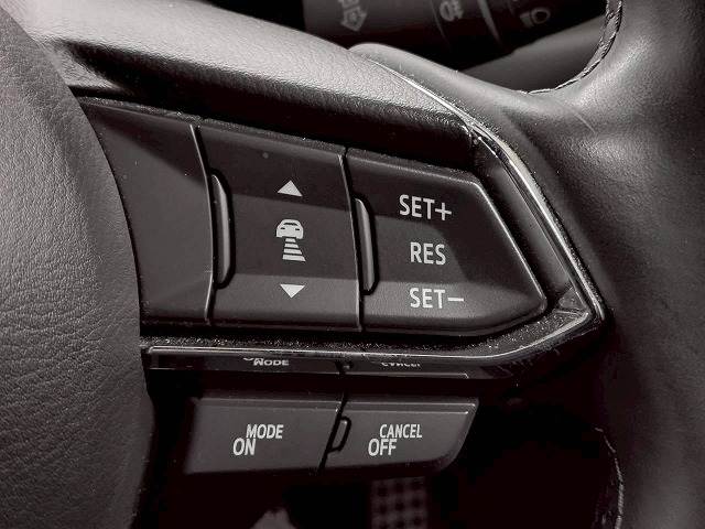 CX-8XD L Package 内装他