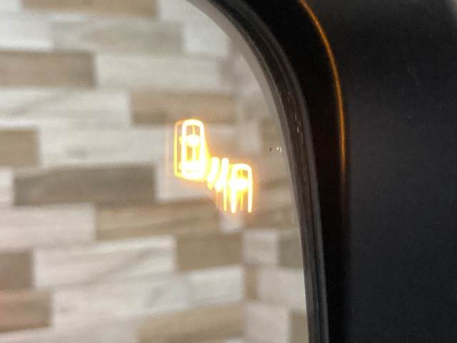 三菱&nbsp;デリカD5の画像9