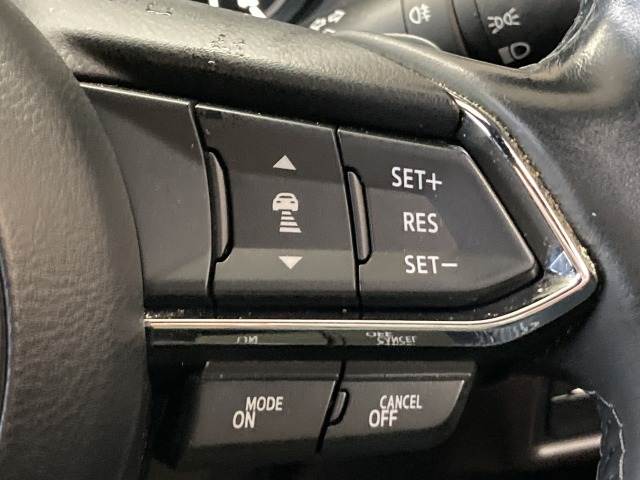 CX-8XD L Package 内装他