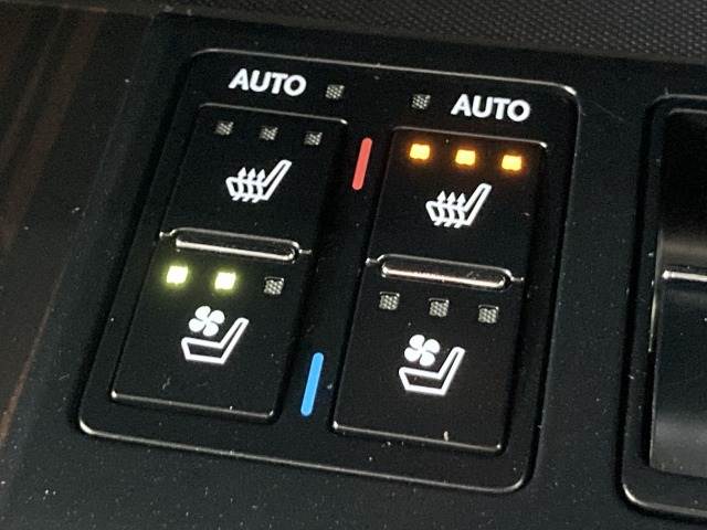 レクサス&nbsp;RXの画像10