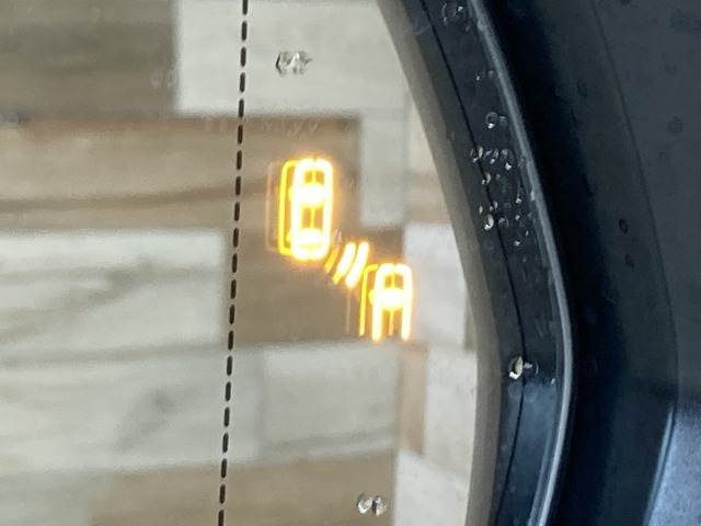 レクサス&nbsp;RXの画像10