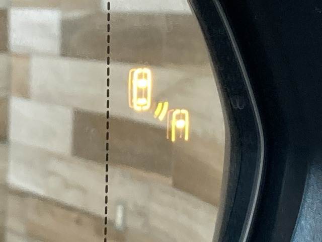 レクサス&nbsp;RXの画像10