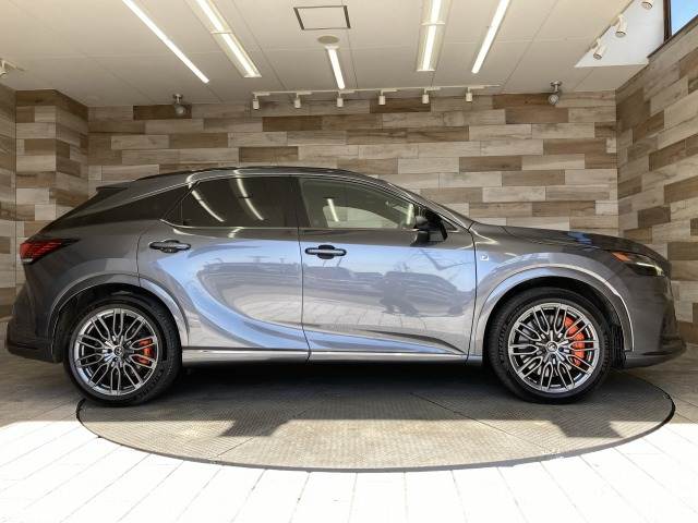 レクサス&nbsp;RXの画像17