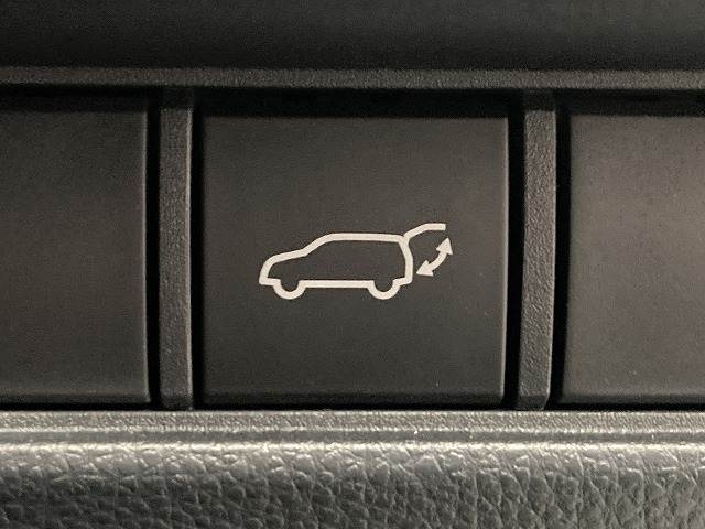 トヨタ&nbsp;ランドクルーザー250の画像10