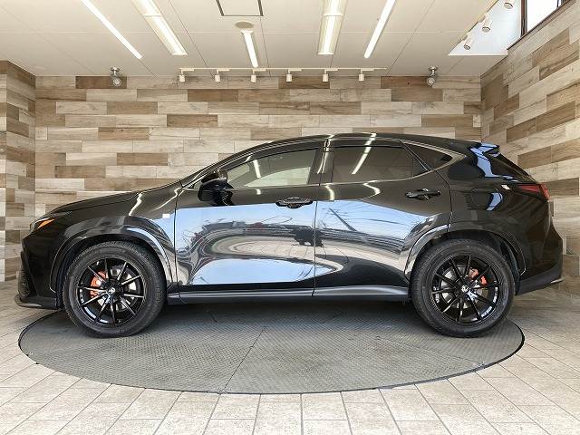 レクサス NXの画像16