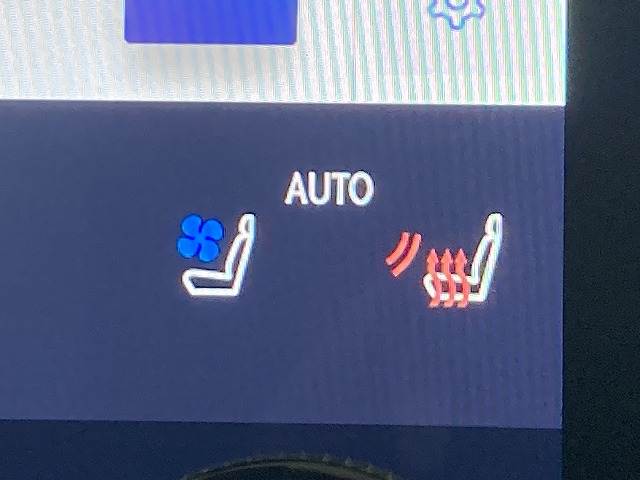 レクサス&nbsp;RXの画像10