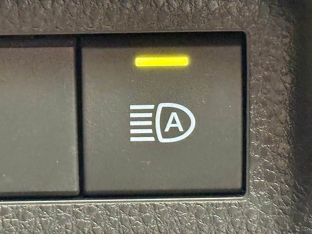 ミツオカ Buddyの画像7