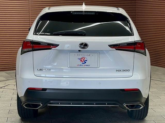 レクサス NXの画像19