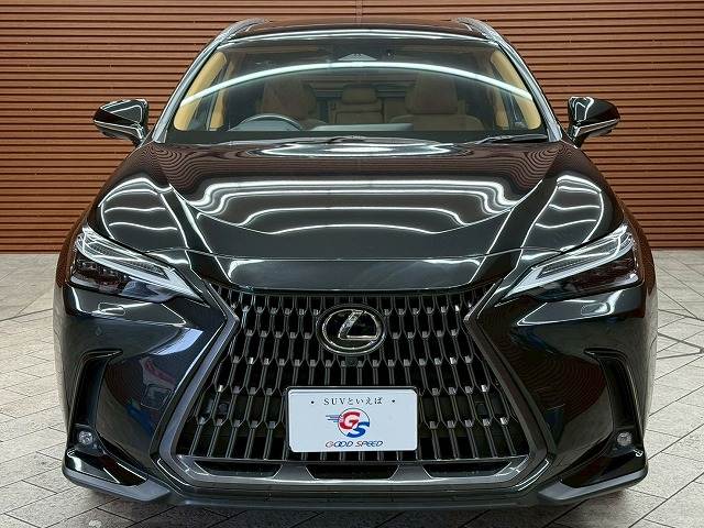 レクサス NXの画像17