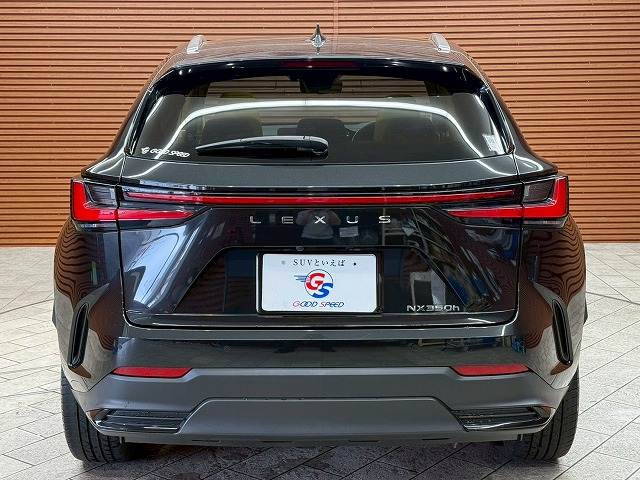 レクサス NXの画像19