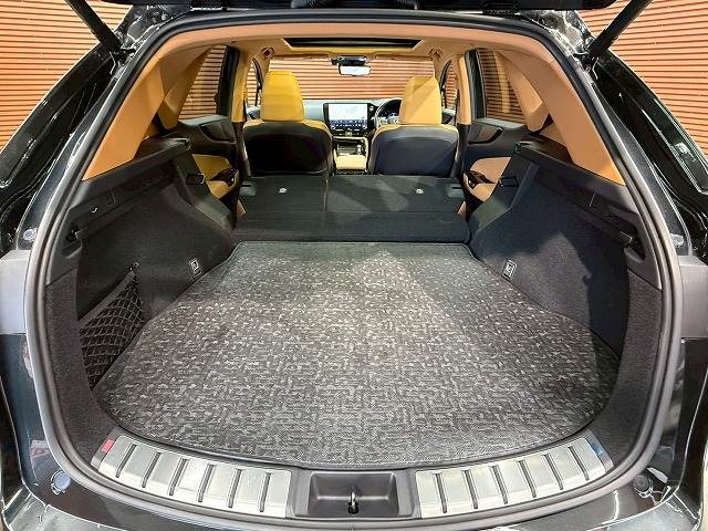 レクサス NXの画像20