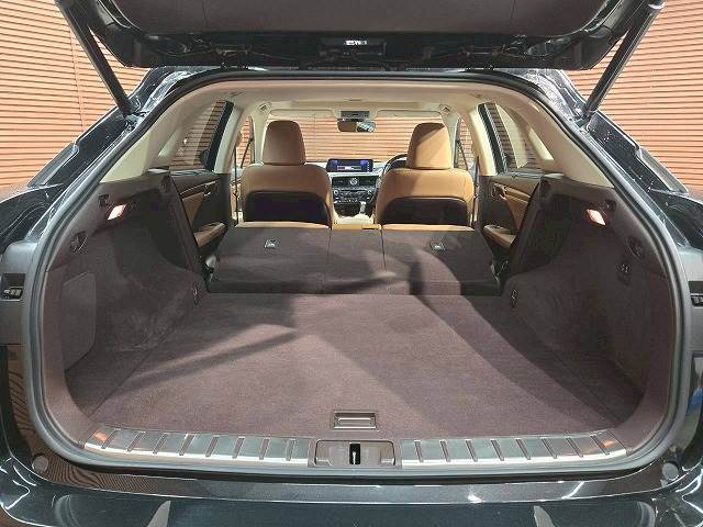 レクサス&nbsp;RXの画像20