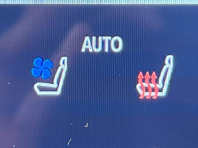 トヨタ&nbsp;ヴェルファイアハイブリッドの画像15