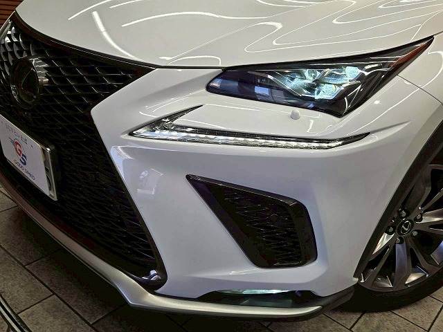 レクサス&nbsp;NXの画像10