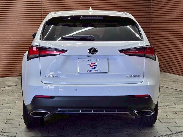 レクサス&nbsp;NXの画像19