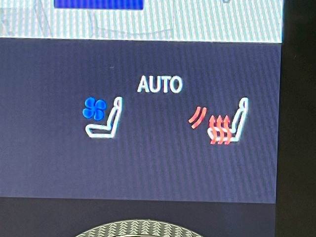 レクサス RXの画像9