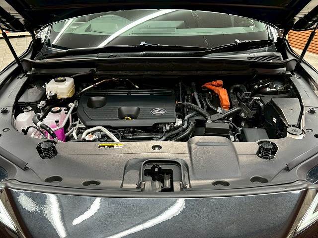 レクサス&nbsp;RXの画像20