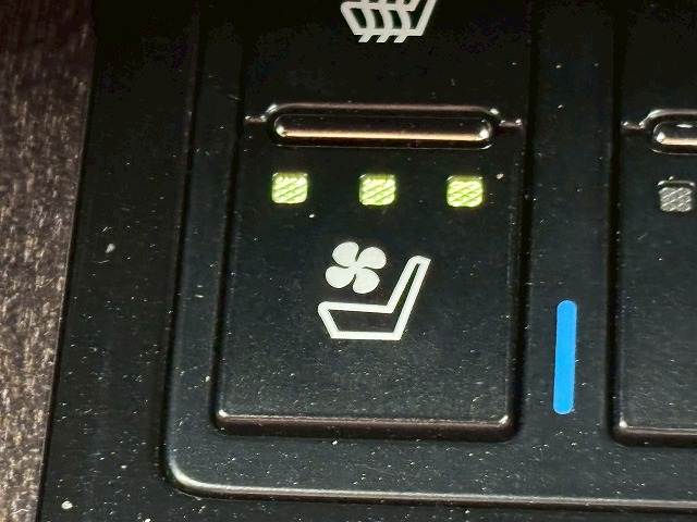 レクサス&nbsp;RXの画像10