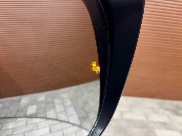 トヨタ&nbsp;ランドクルーザープラドの画像9