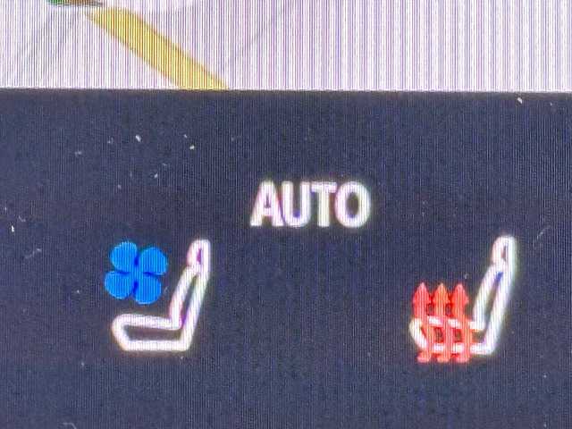トヨタ&nbsp;アルファードハイブリッドの画像10